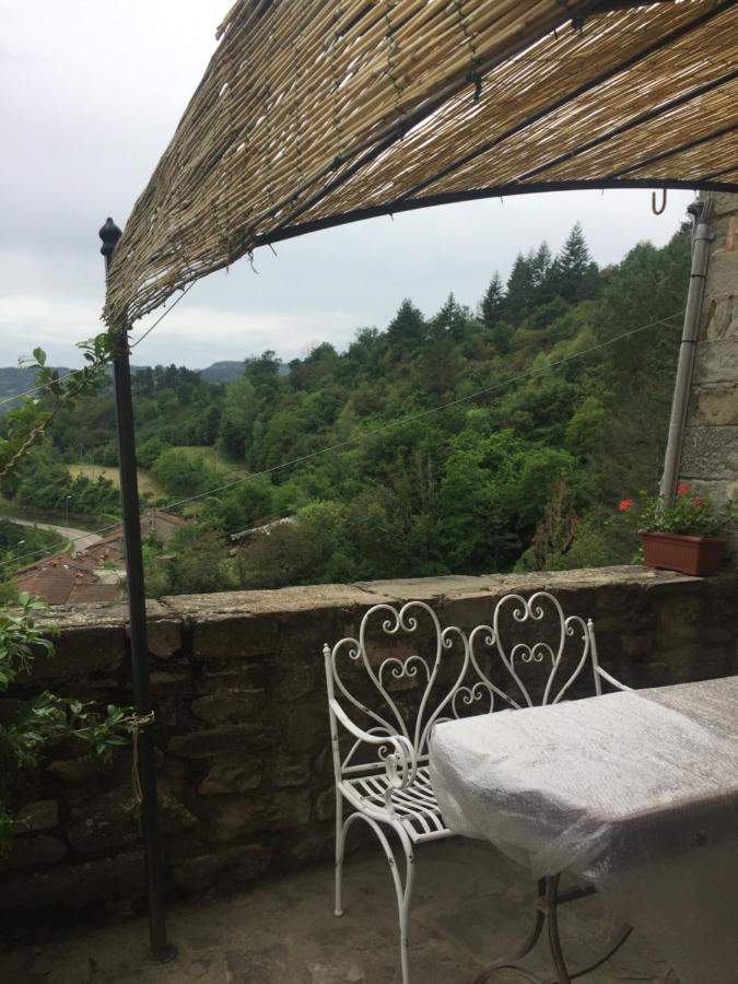 Castello Di Urbech Apartment Pratovecchio Bagian luar foto