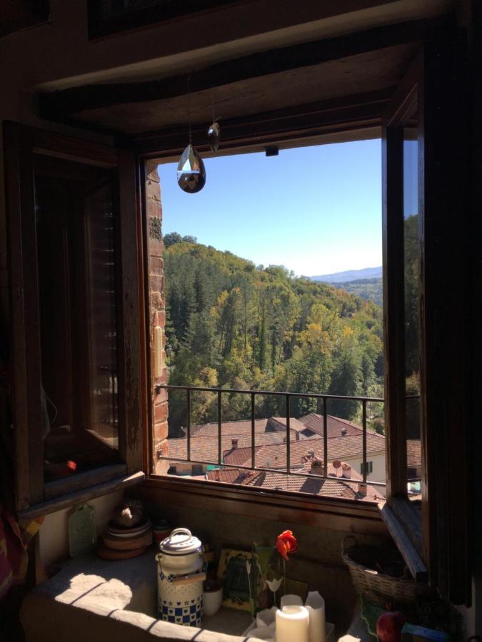 Castello Di Urbech Apartment Pratovecchio Bagian luar foto