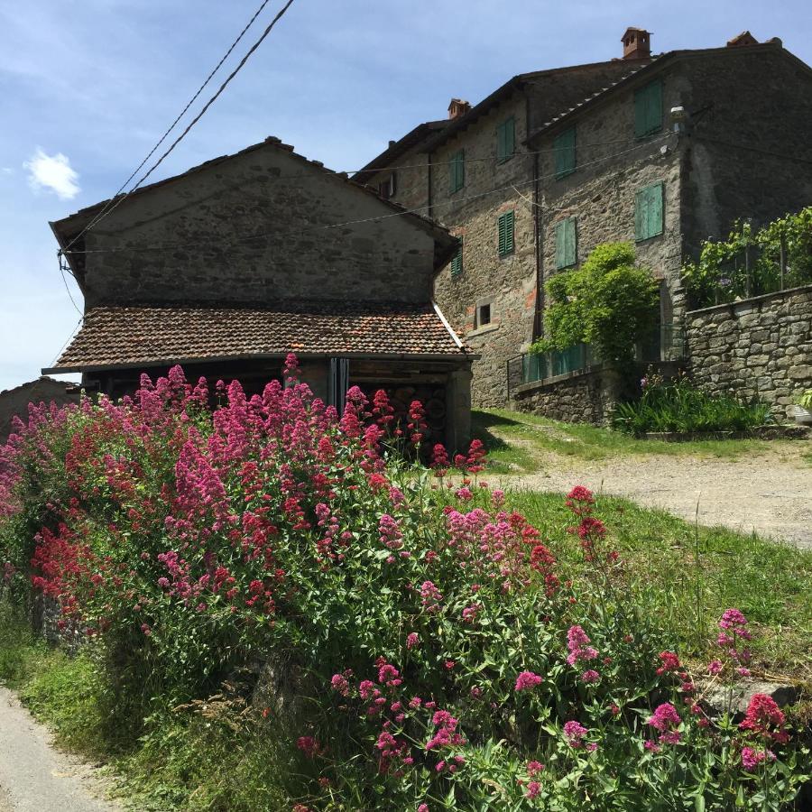 Castello Di Urbech Apartment Pratovecchio Bagian luar foto