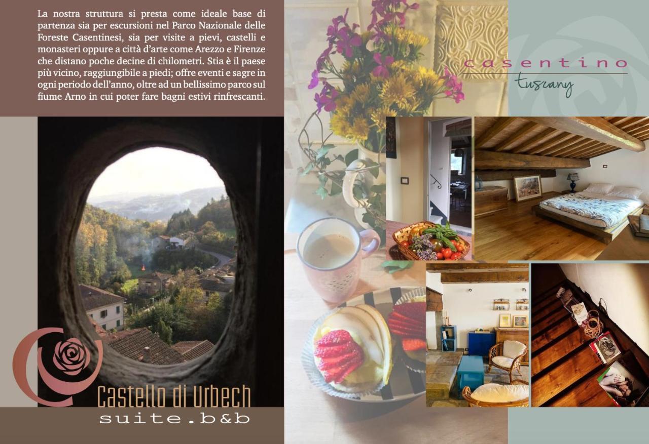 Castello Di Urbech Apartment Pratovecchio Bagian luar foto